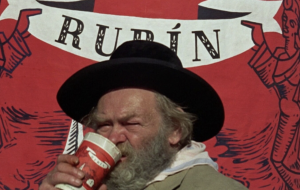 Celebration in the Botanical Garden